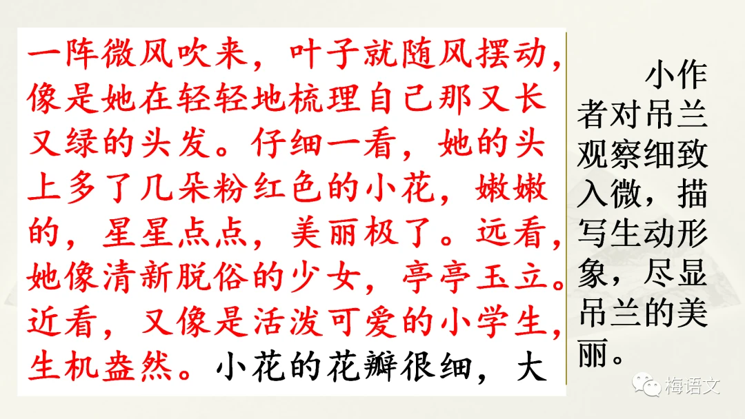 怎样制作一份图文并茂的篮球规则指南?_1